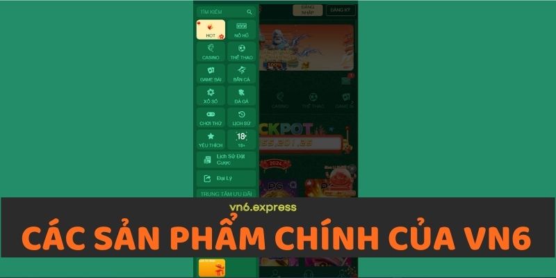 Các sản phẩm chính của VN6